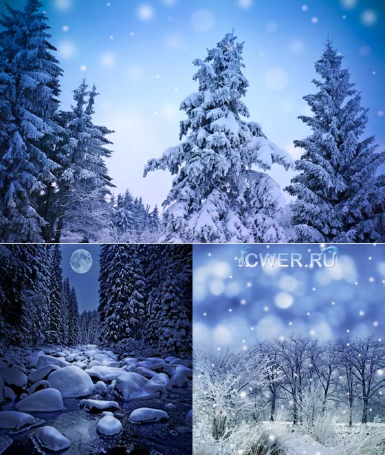 Stock Photo. Amazing Winter Landscapes