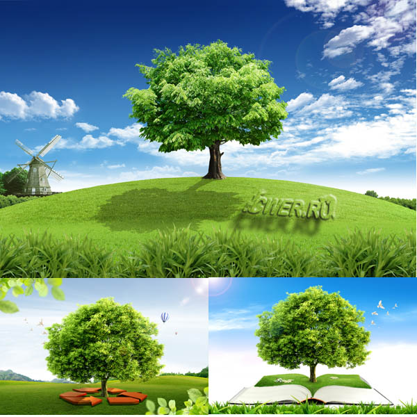 Green tree & nature