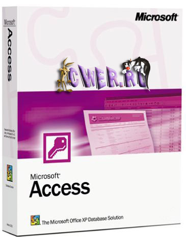 ms access 2003 portable