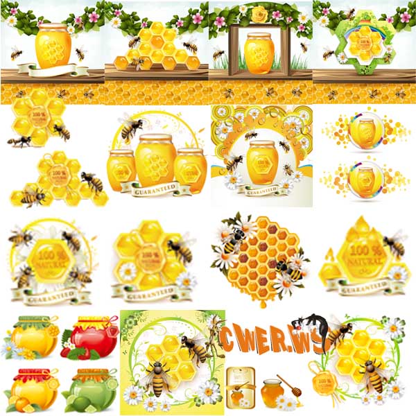 Мед и пчелы