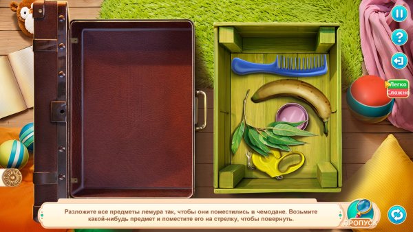 Home for Friends: Beloved Pets Collector's Edition