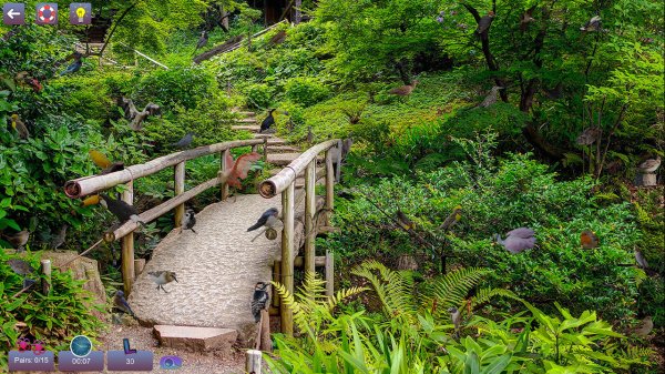 Hidden Pairs 3: Lovely Birds