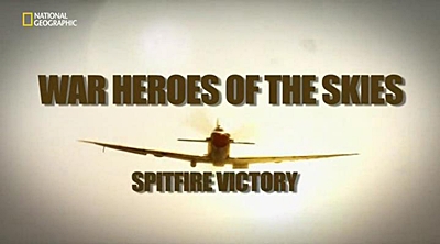Воздушные асы войны: Победоносный 