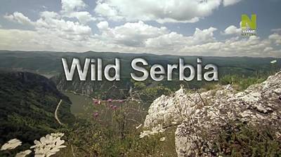 Дикая природа Сербии