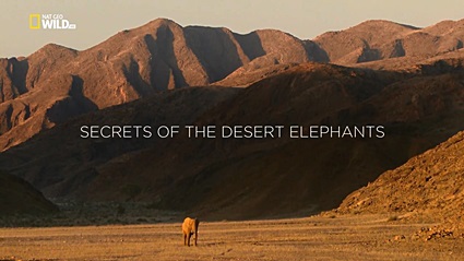 Хоаниб - секреты пустынных слонов