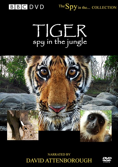 Тигр: Шпион джунглей