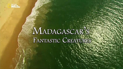 Фантастические существа Мадагаскара