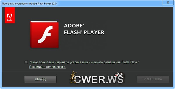 Adobe Flash Player 12