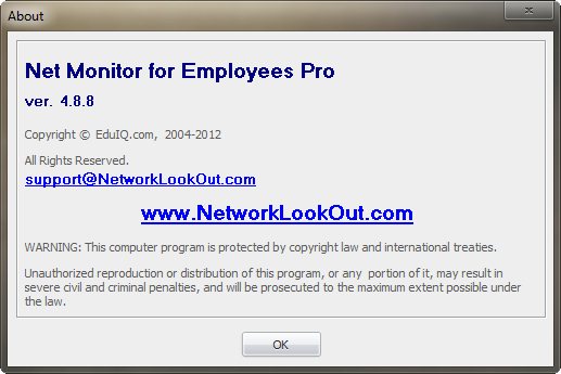 Net Monitor for Employees Professional 4.8.8