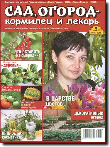 журнал Сад огород - кормилец и лекарь