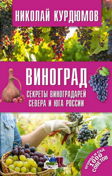 Николай Курдюмов. Виноград. Секреты виноградарей севера и юга России