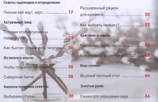 Сезон у дачи №5 (март 2012)s