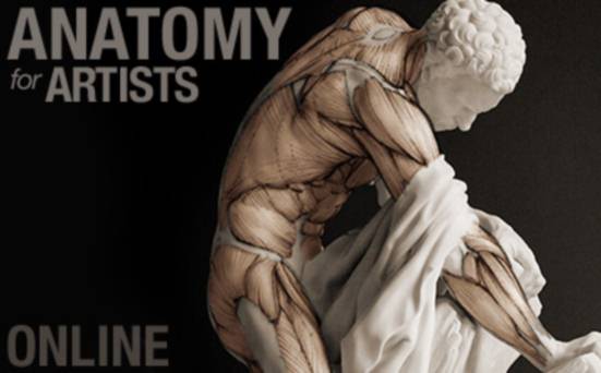 Пластическая анатомия для цифрового художника